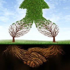 Management Accounting for Growth Burton Beavan | Management Accounting for Growth